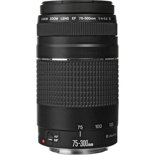 LENTE CANON-EF-75-300MM F-4-5.6 III - Filmadorasperu