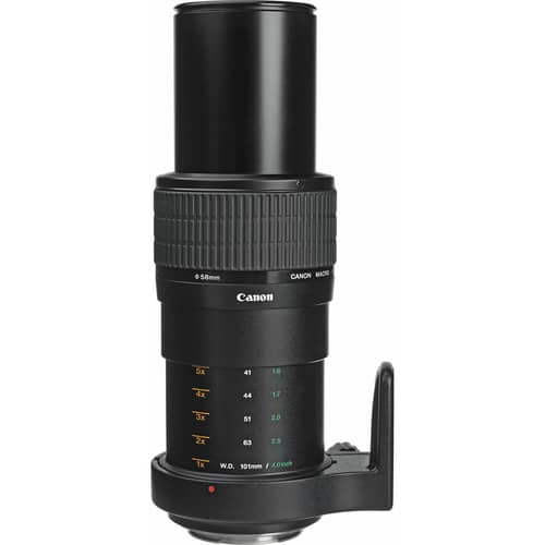 Canon MP-E 65mm f/2.8 1-5x