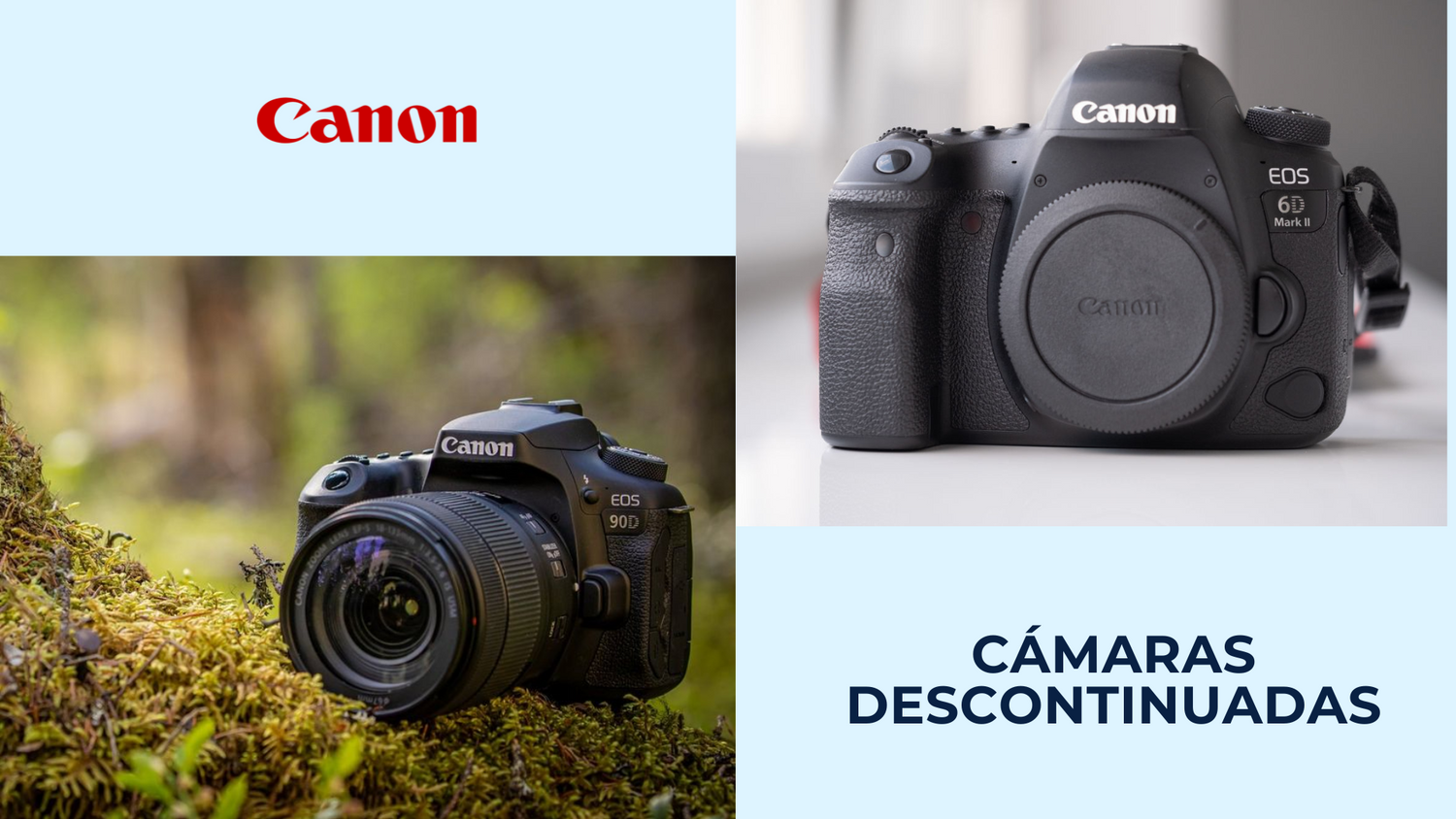 Cámaras Descontinuadas que Aún Valen la Pena: Canon 90D y Canon 6D Mark II