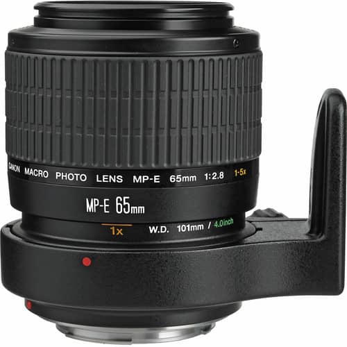 Canon MP-E 65mm f/2.8 1-5x