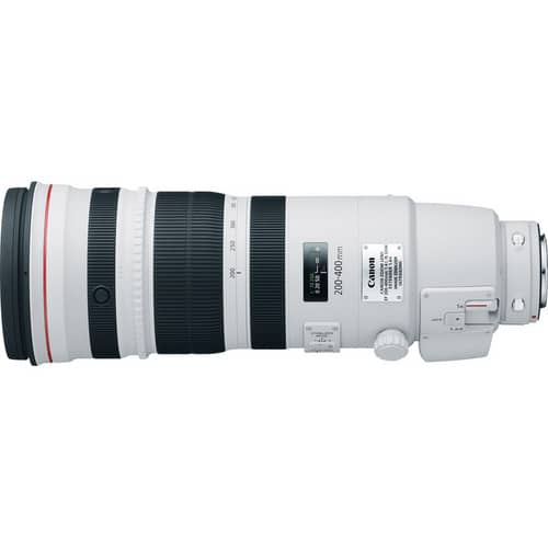 Canon EF 200-400 mm f/4L IS USM Lente extensor 1.4x (para importar)