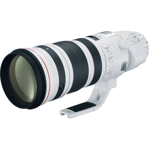 Canon EF 200-400 mm f/4L IS USM Lente extensor 1.4x - Filmadorasperu