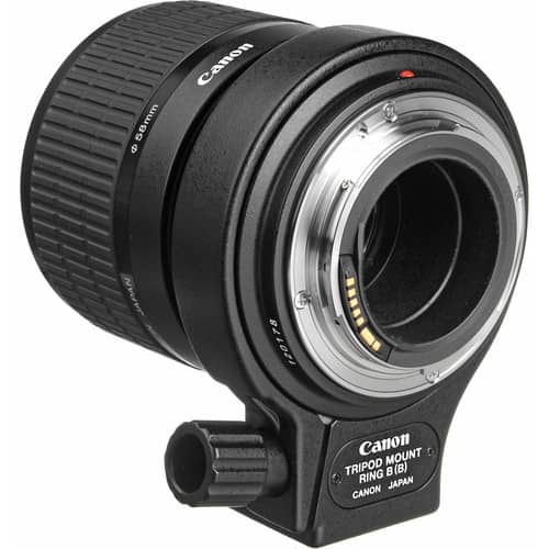 Canon MP-E 65mm f/2.8 1-5x